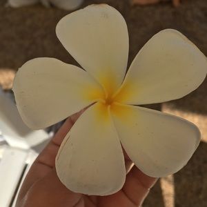 Meet your Posher, Simone